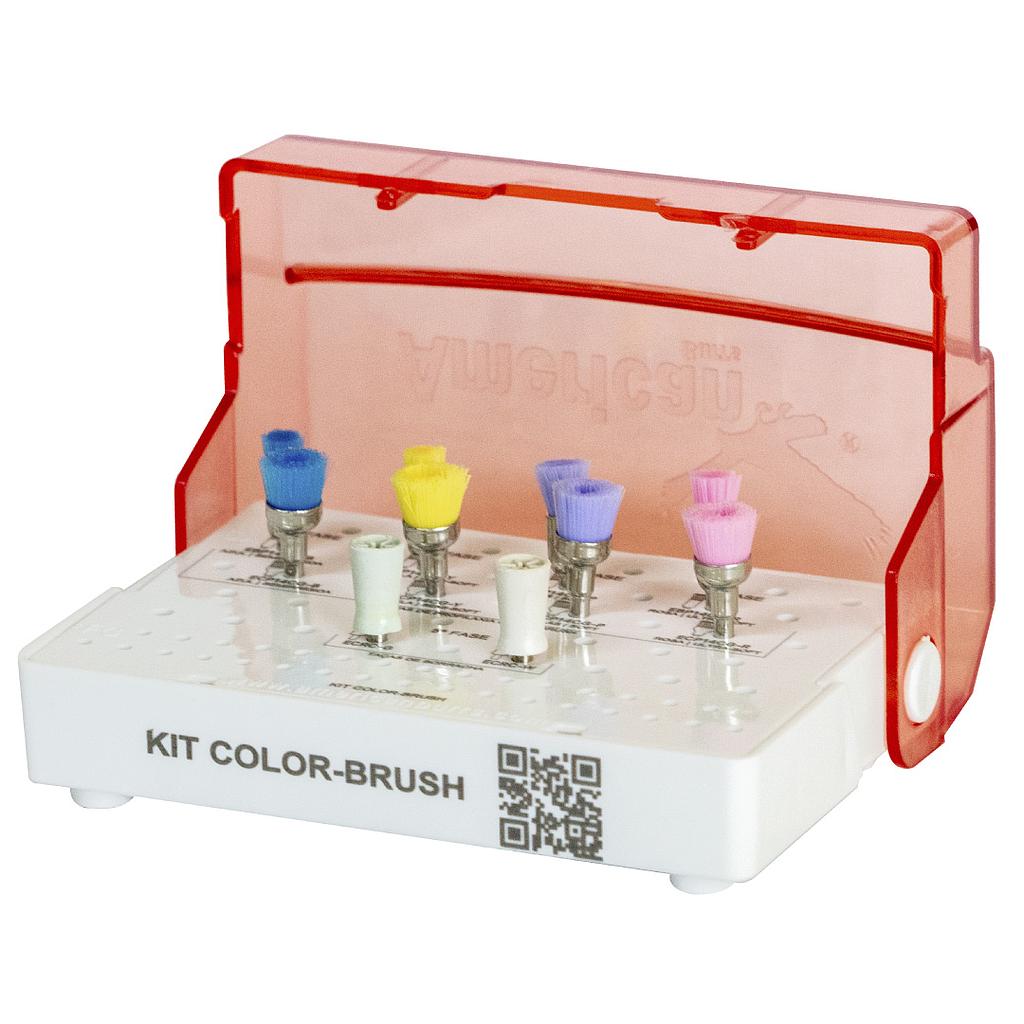 KIT P/PROFILAXIS COLORBRUSH 10/1 AMERICAN BURRS