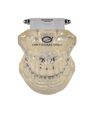 DENTOFORMO MODELO ORTODONTICO ICERAM-P/ICECLEAR/ADVANCED/U-CLIP ORTHOMETRIC