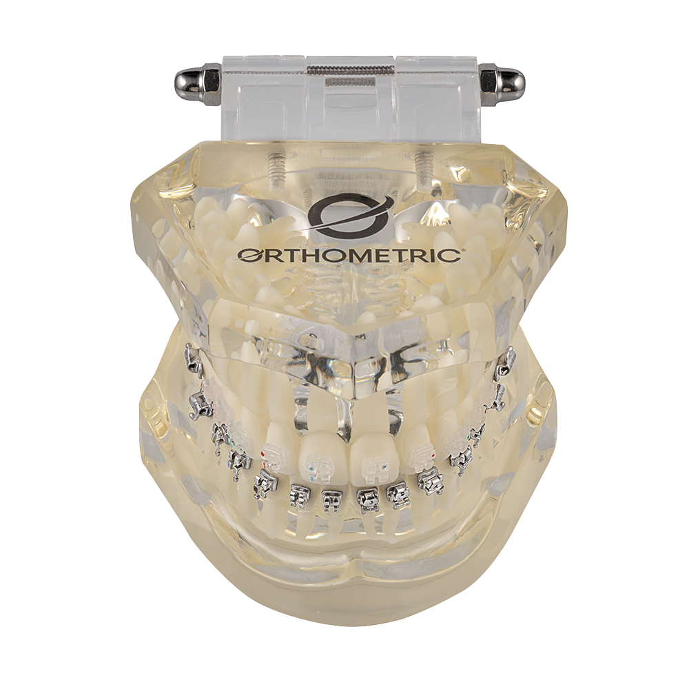 DENTOFORMO MODELO ORTODONTICO ICERAM-P/ICECLEAR/ADVANCED/U-CLIP ORTHOMETRIC