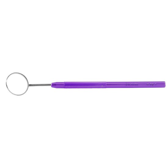 MANGO P/ESPEJO MORADO GOLGRAN