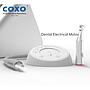 MICRO-MOTOR ELECTRICO C/CONTRA-ANGULO 1:5 y 1:1 C-PUMA MINI COXO