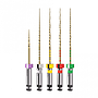 LIMAS ROTATORIAS TRUNATOMY SET DENTSPLY